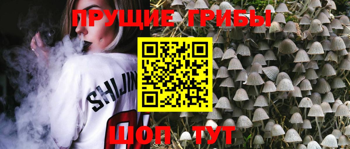 Псилоцибиновые грибы GOLDEN TEACHER  Вход с VPN  Апатиты 